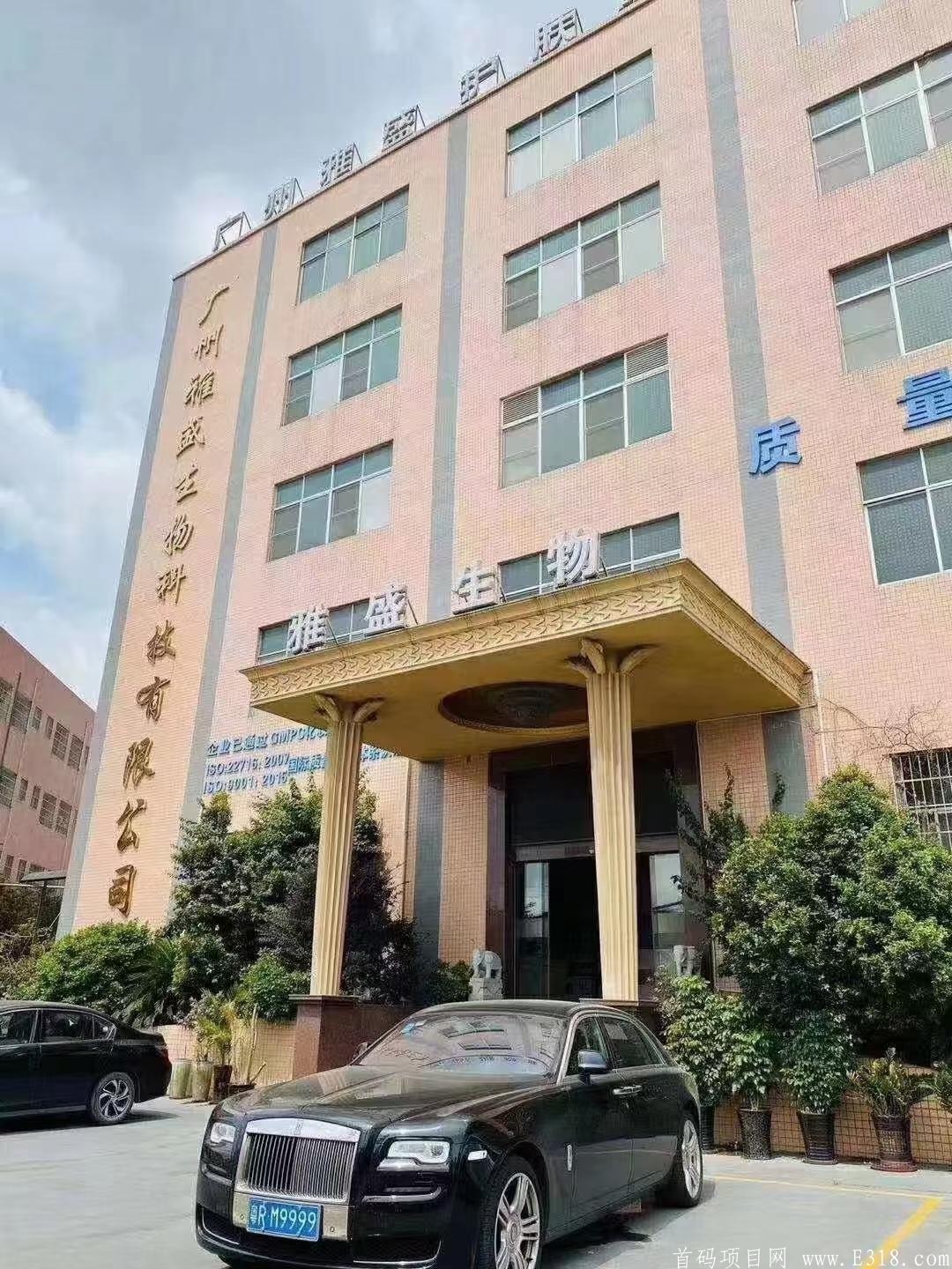 幸运拼 拼团抢购模式 内测期间 元旦开启新闻发布会 正式上线  大力扶持
