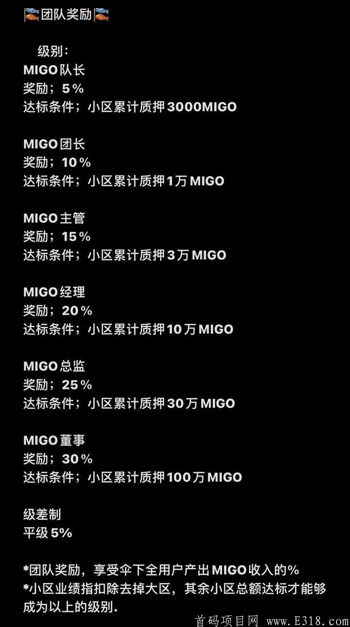migo国际项目，对接各大团队长，无限代扶持2！！