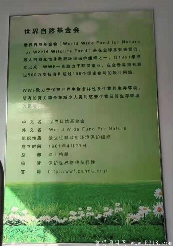 首码对接，高扶持，WWF自然链，世界自然基金会开发的项目