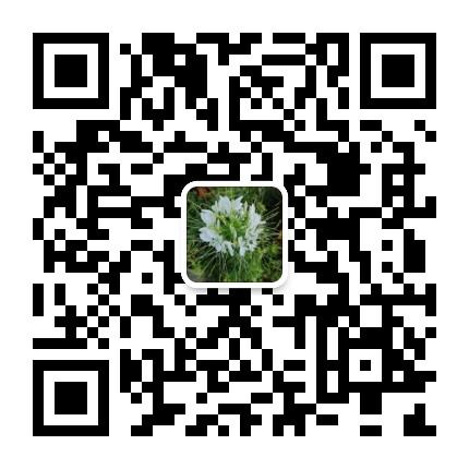 橘猫：先拿钱后推人，不花一分钱发展团队。奖励全现金