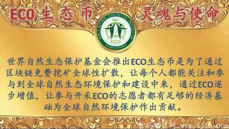 CEO首码对接
