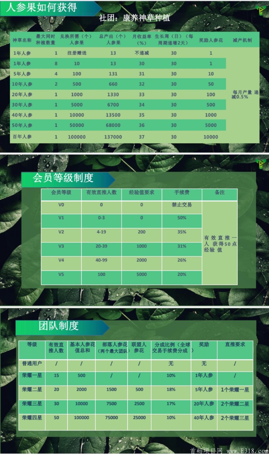 亿康量子（区块链+大健康）2021巅峰之作，首码发布，全网扶持对接团队长！