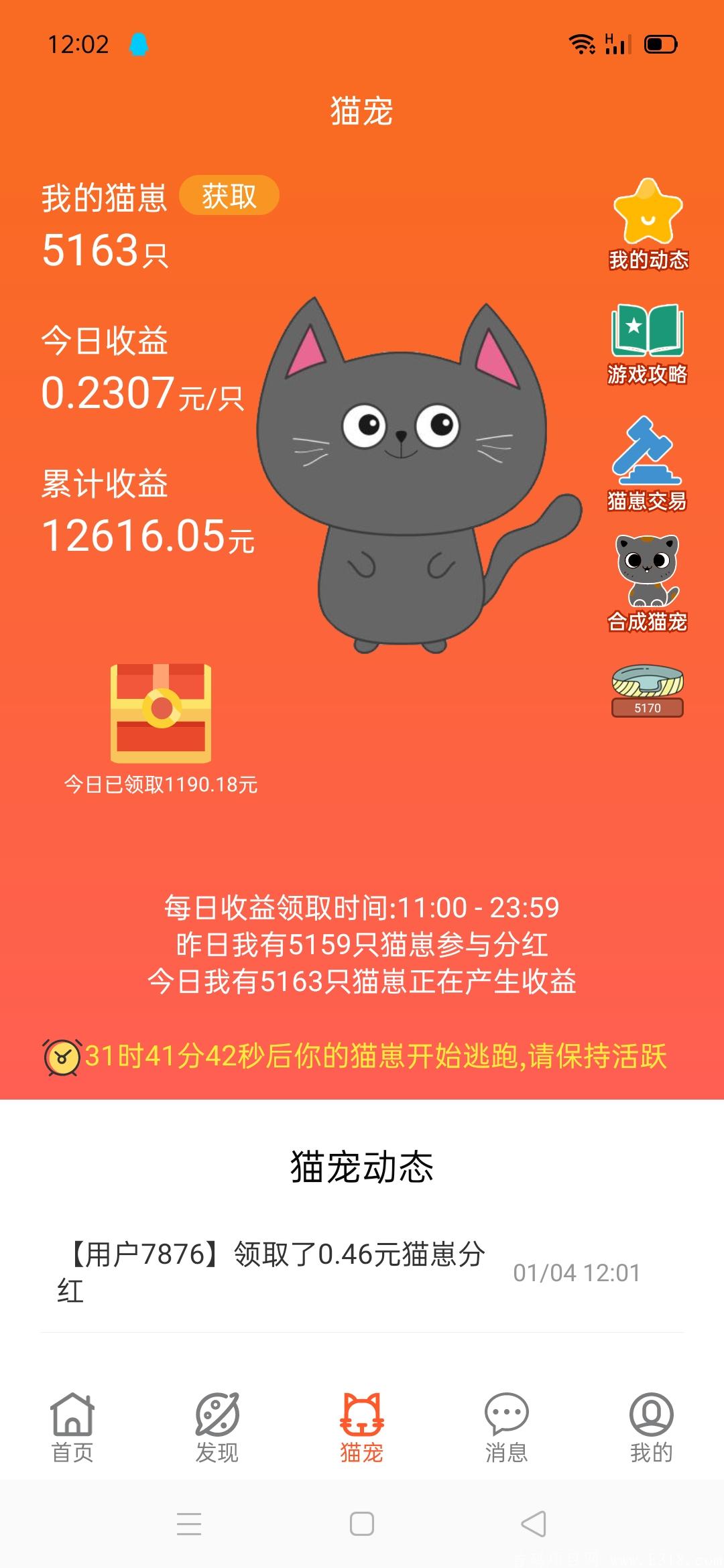 悬赏平台十养猫分红