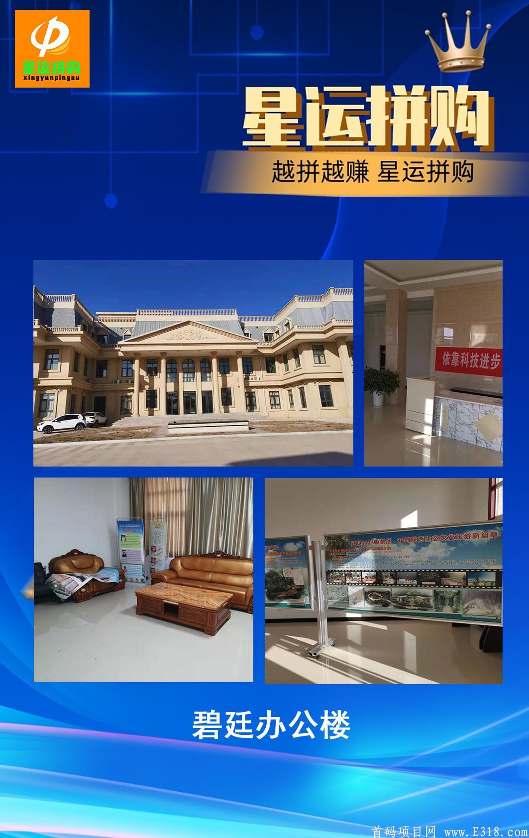 星运拼购！全网拼团收益最高！！！