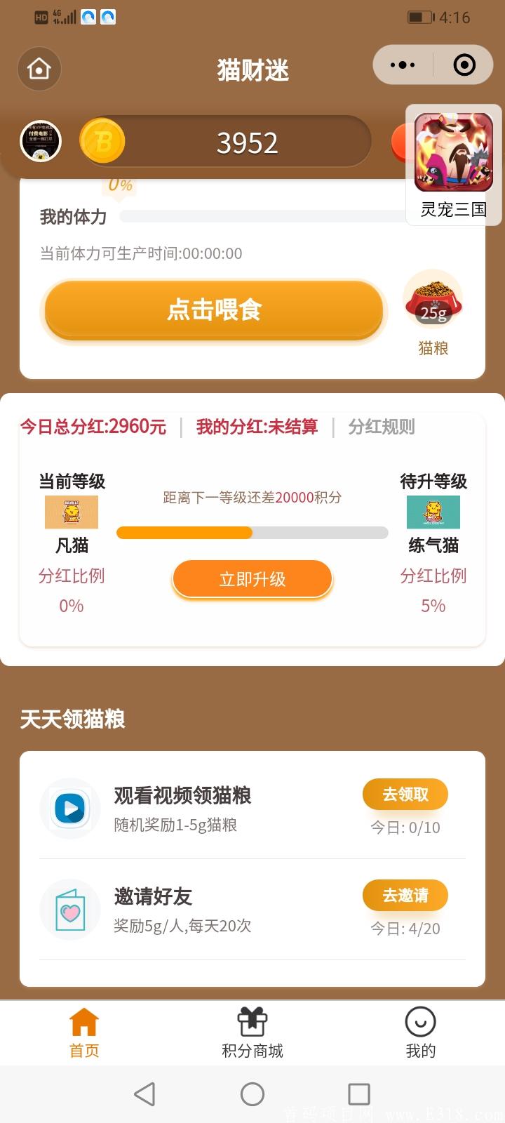 猫财迷1月10号预热
