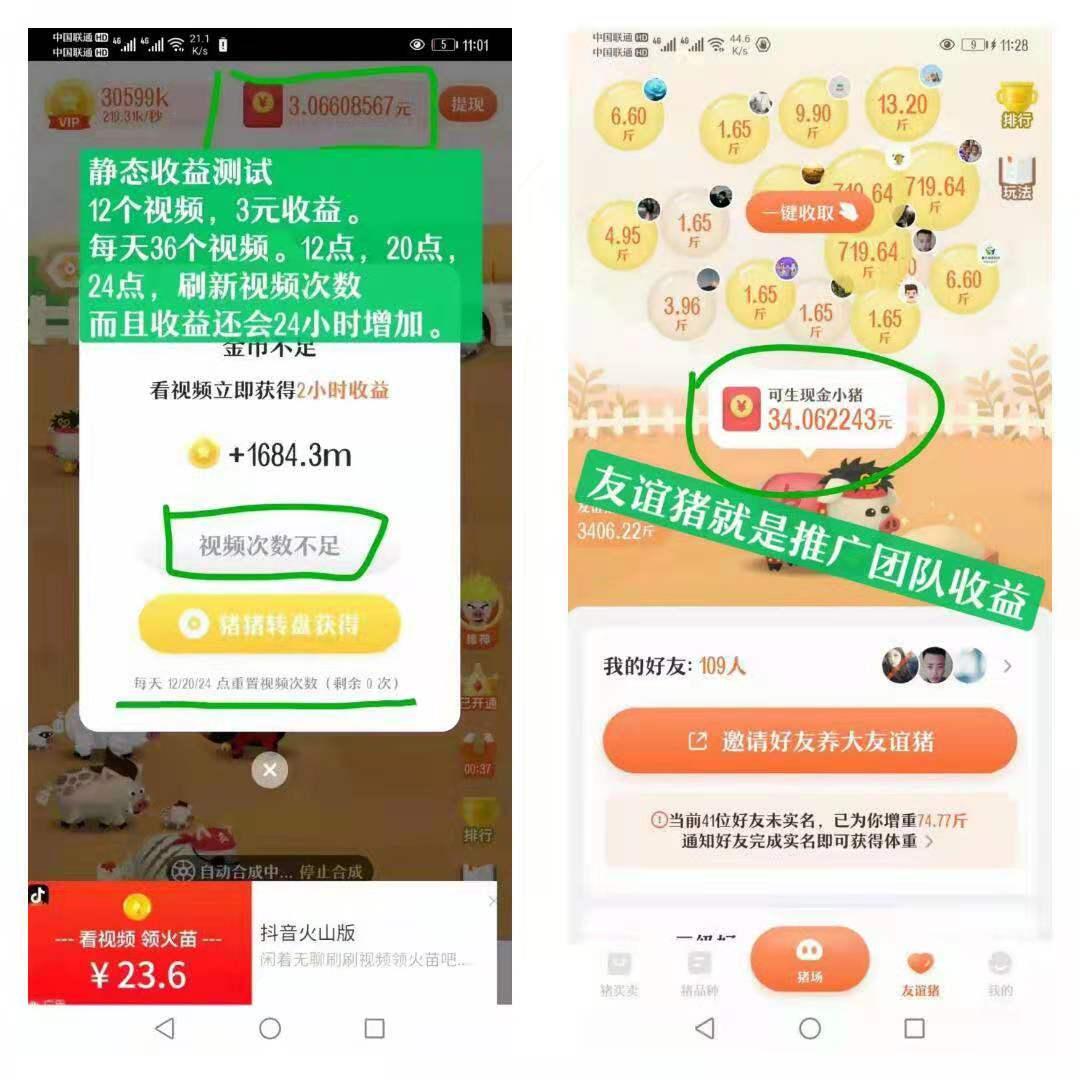 一起来养猪：黑马项目，24小时收益不间断