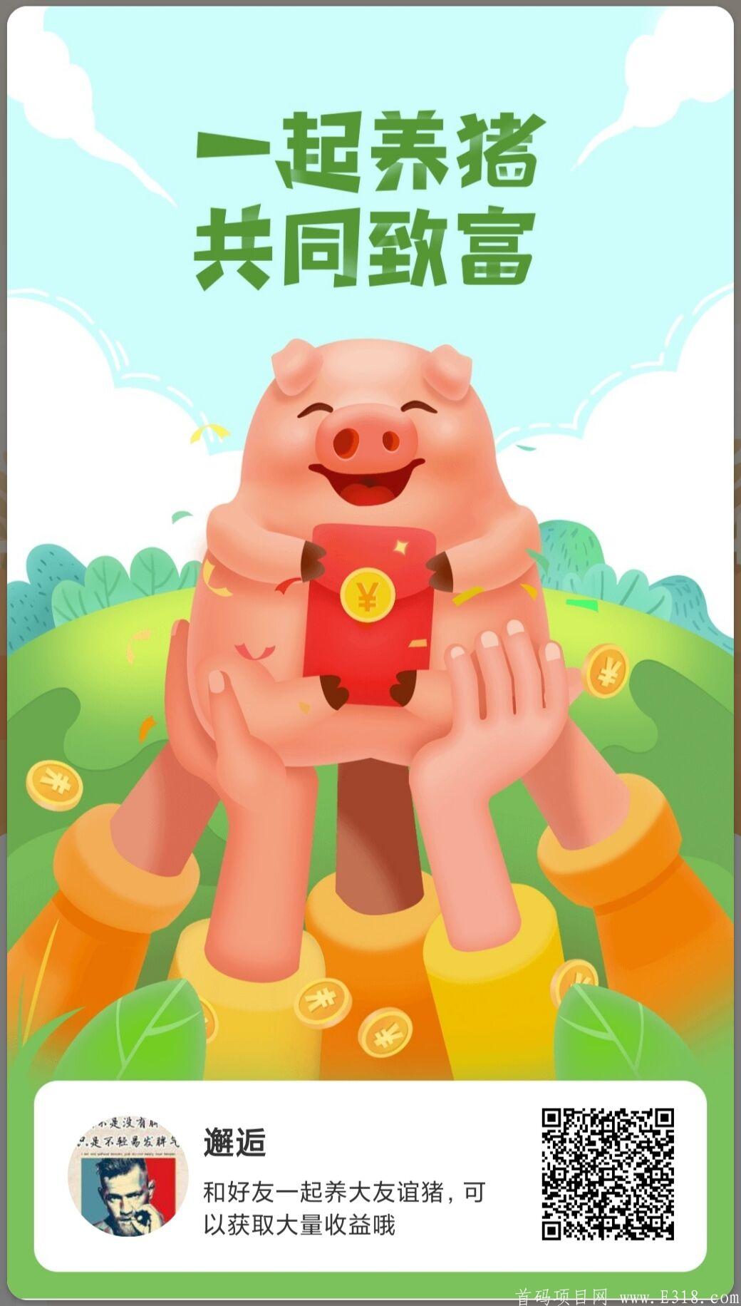 一起来养猪，火爆项目，早上车早收益