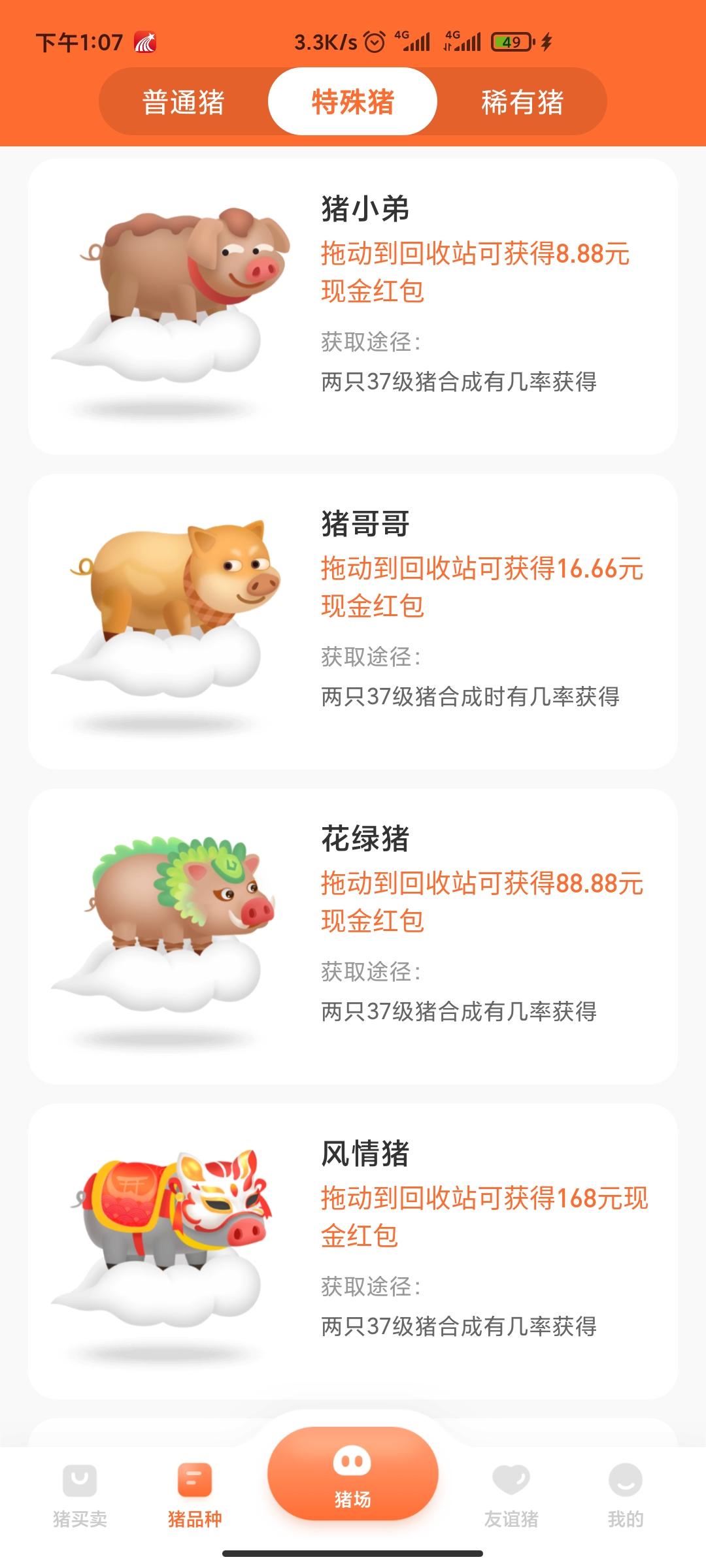 一起来养猪，火爆项目，早上车早收益