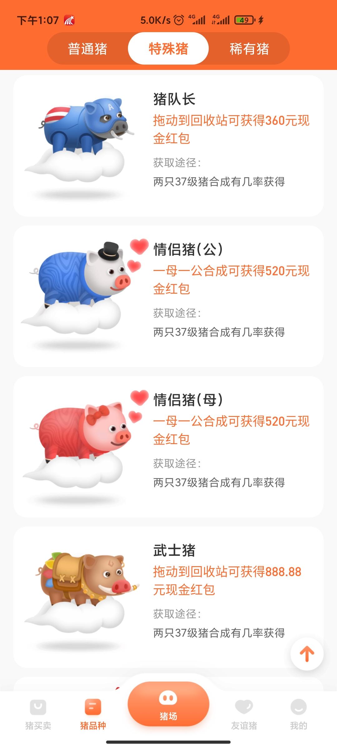 一起来养猪，火爆项目，早上车早收益
