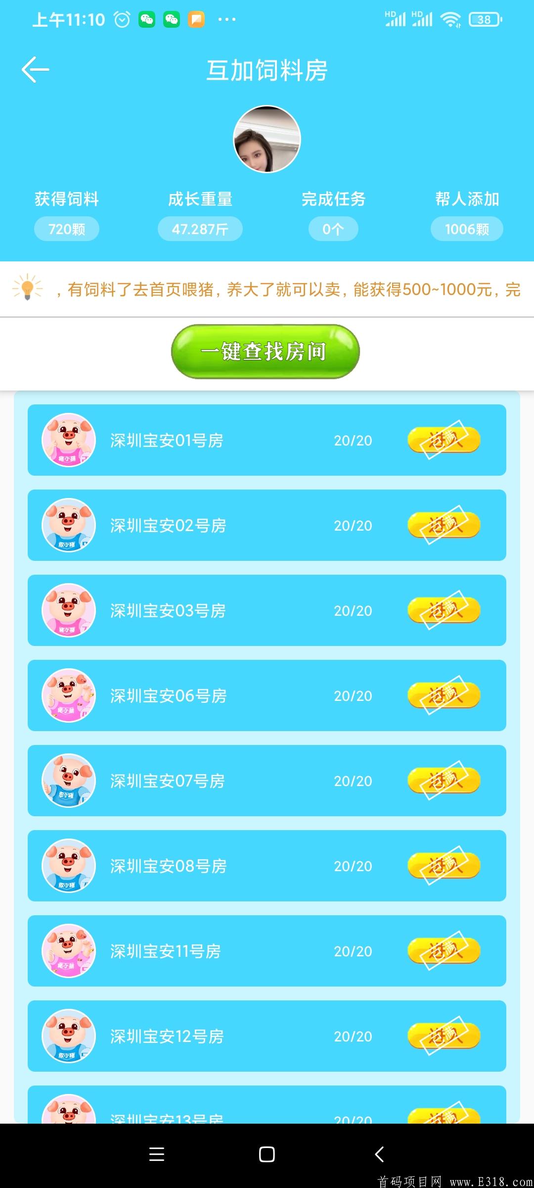 全民养猪~正规合法平台，0撸暴力，公安备案