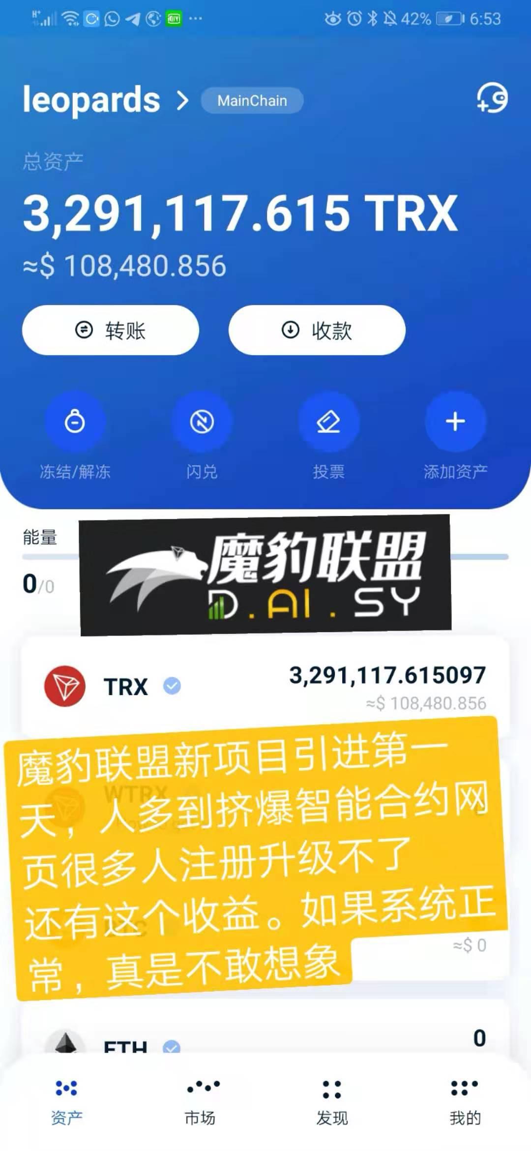 daisy黛西，新项目，对接团队长！