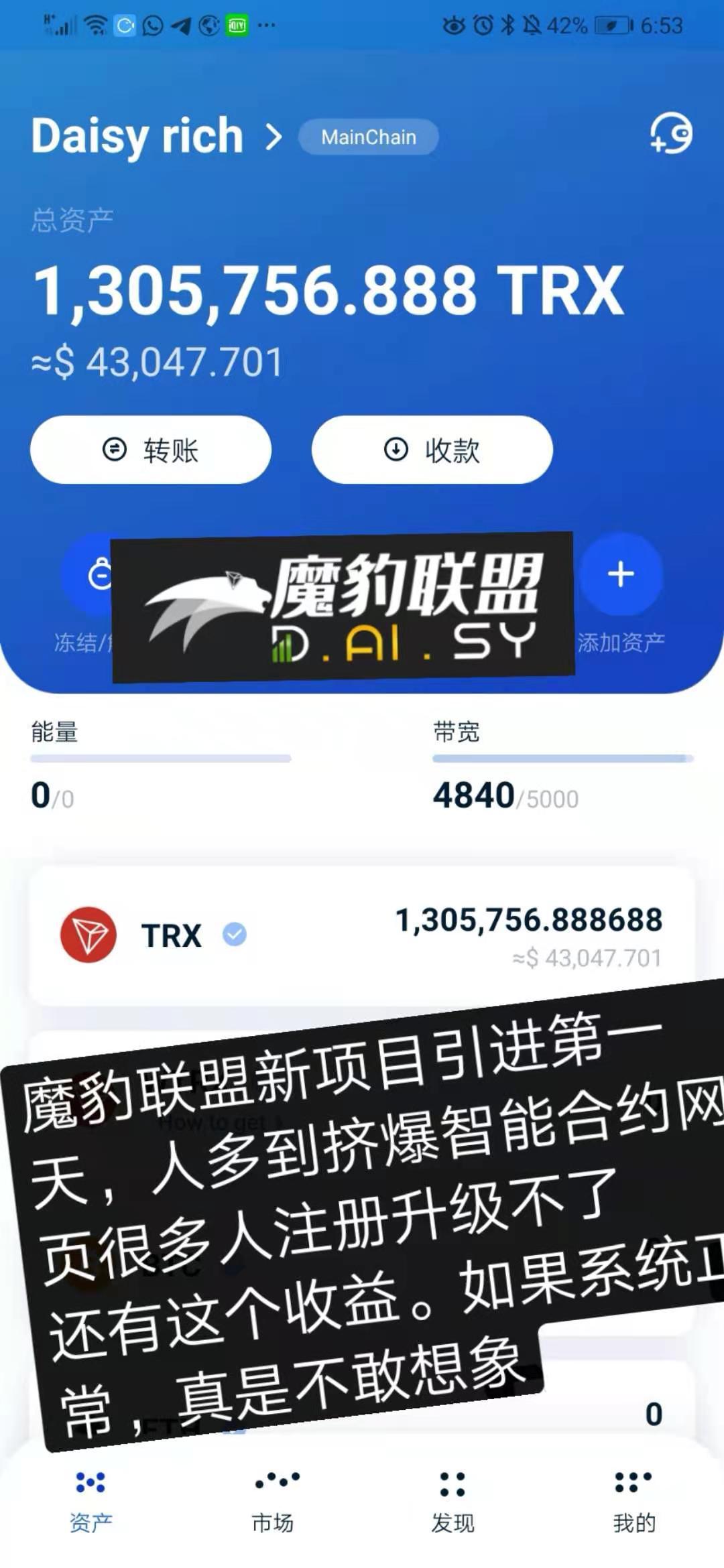 daisy黛西，新项目，对接团队长！