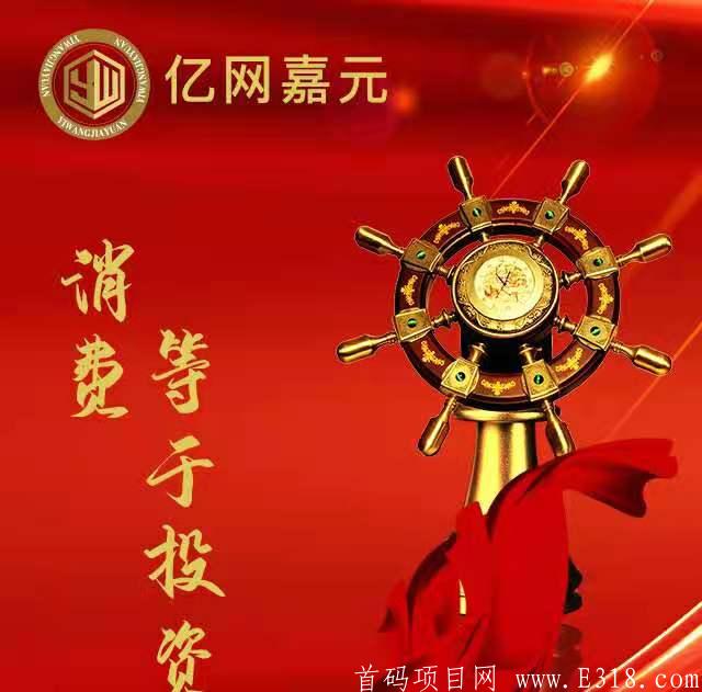 亿网嘉元【实力首码18号上线】赶快排线，2000人兜大底，直接上2星
