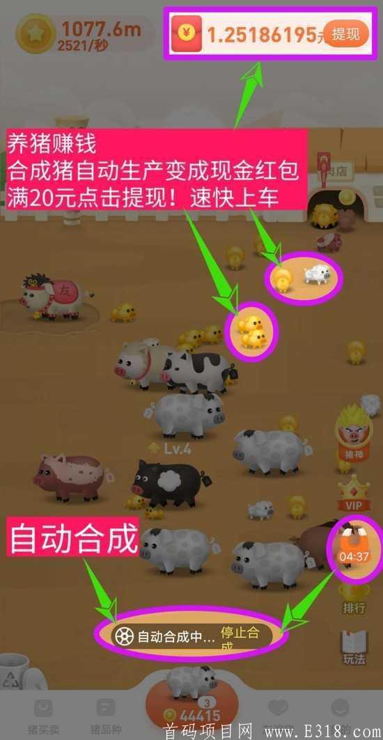 首码零撸合成类游戏之王火爆上线，一起来养猪！  0投资，养猪赚钱，7级后自动合成，猪会24小时自动产钱！