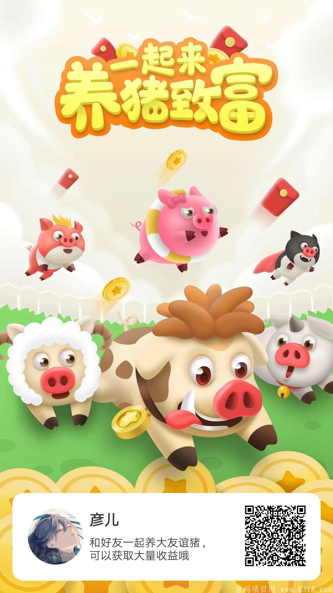 养猪，是今年收益最稳，最暴力的项目