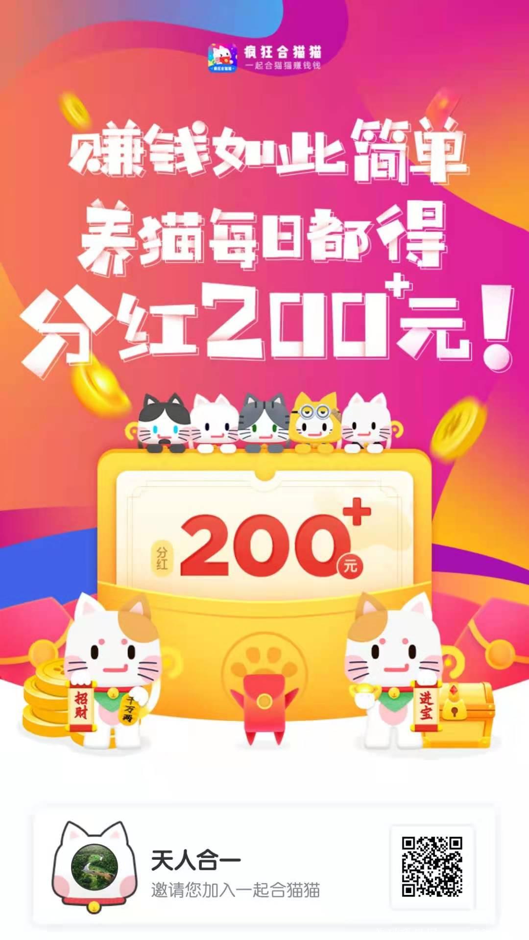 **游戏，疯狂合猫猫