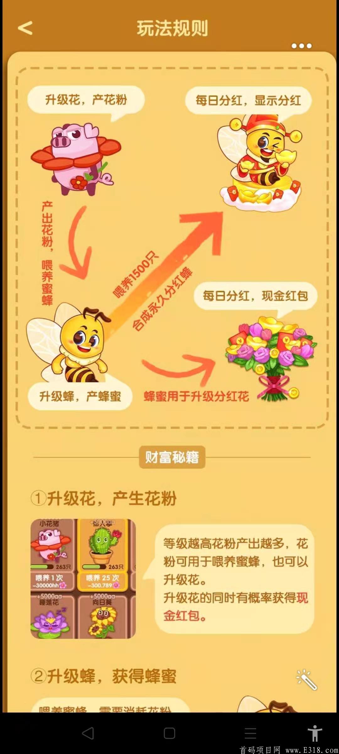小蜜蜂2月1号首码预热！静态收益高！