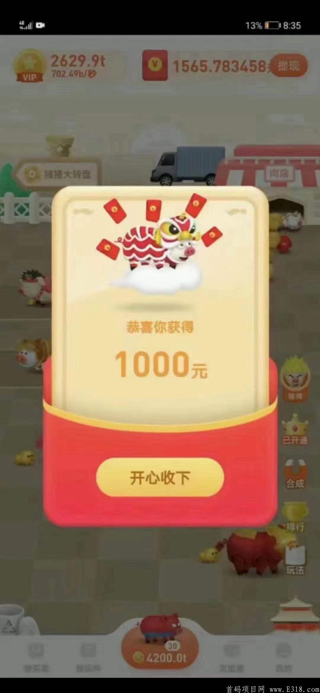 养猪亲测，可以长期