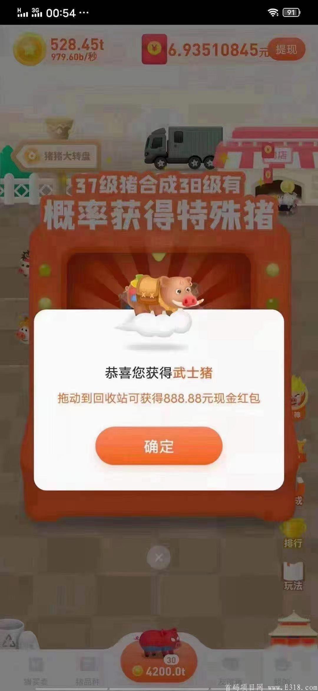 养猪亲测，可以长期