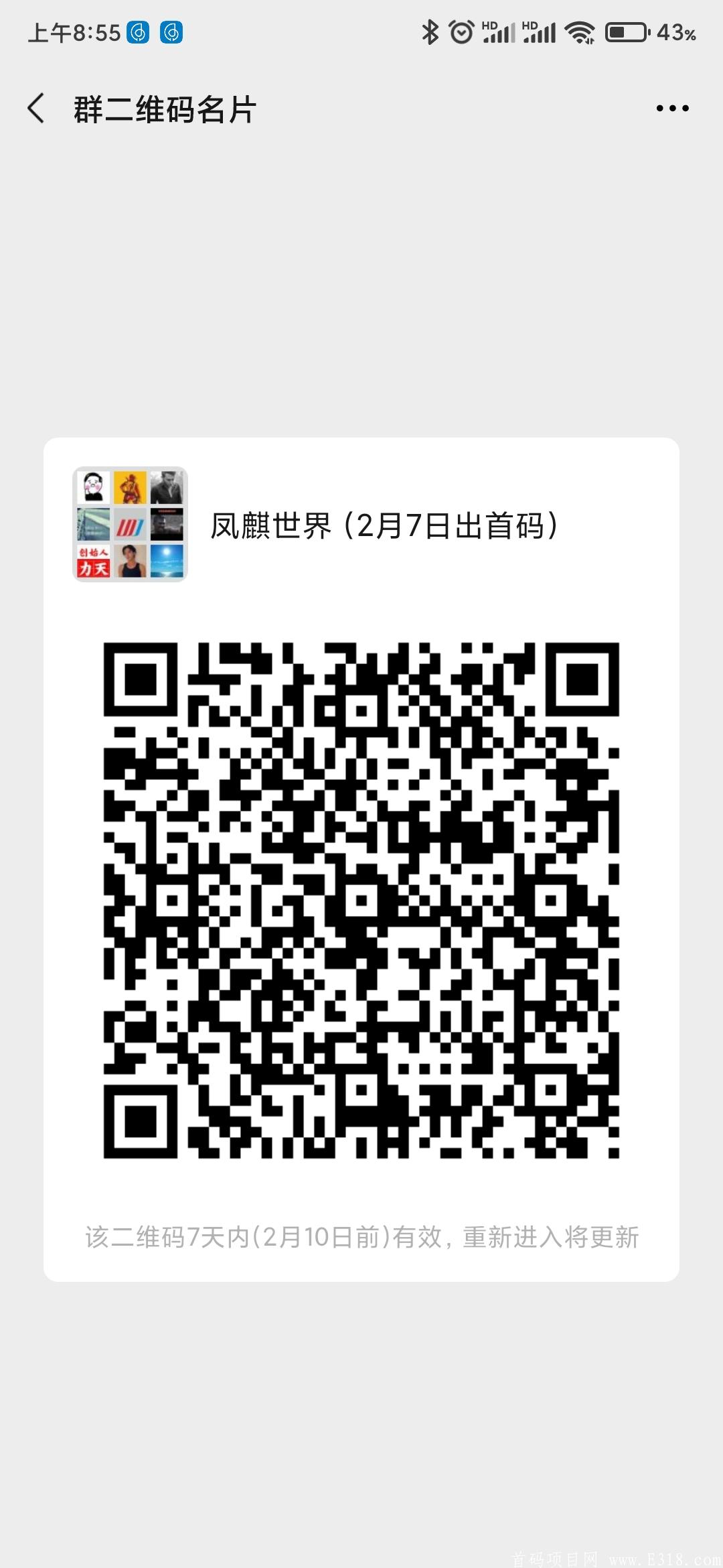 新项目，凤麒世界，2月7日出首码