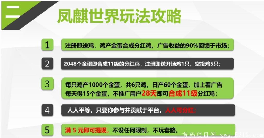 凤麒世界2月7日首码