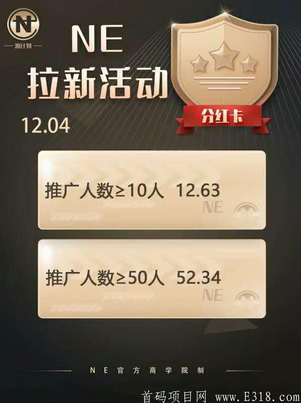 NE源计划 年后起飞 稳定两月的项目 目前一币0.7美元