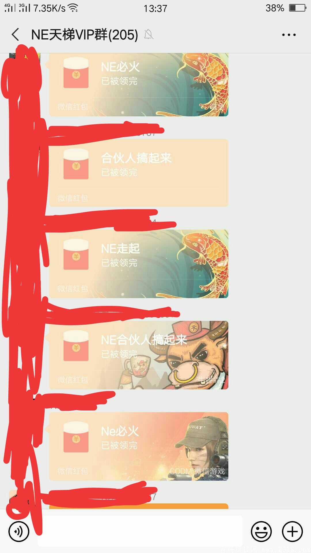 NE源计划 年后起飞 稳定两月的项目 目前一币0.7美元