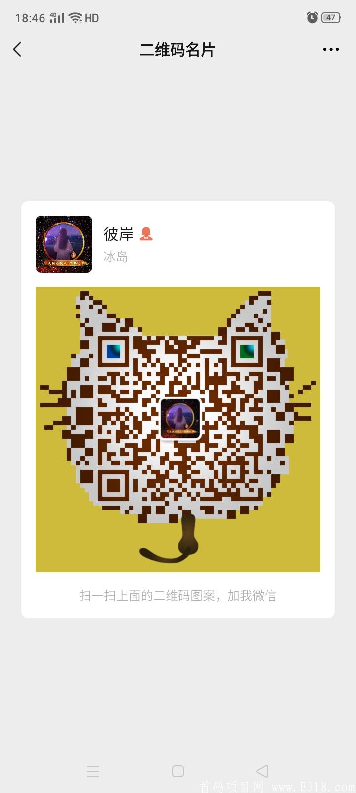 一天500币  美国pi模式项目