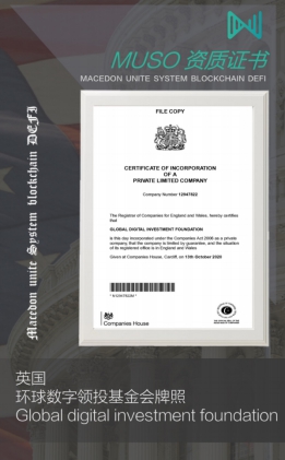 MUSO造富效应惊人,创世社区月入百万,对接团队长