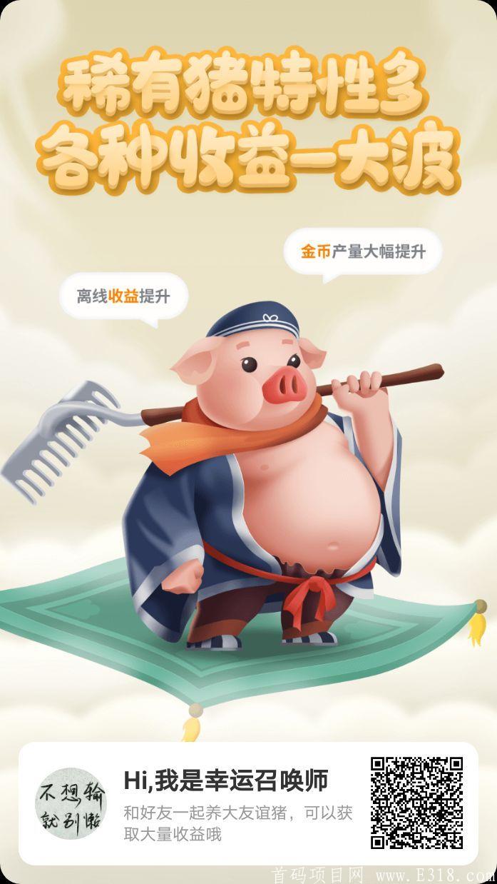 一起来养猪长久项目玩法多收益多扶持给力没加入的赶快加入吧