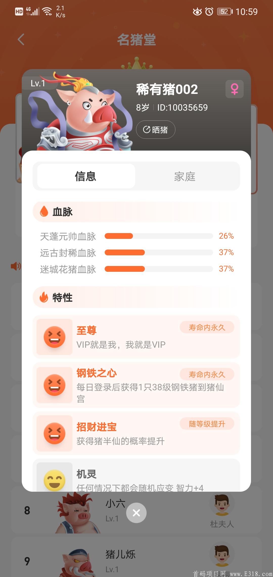 一起来养猪长久项目玩法多收益多扶持给力没加入的赶快加入吧