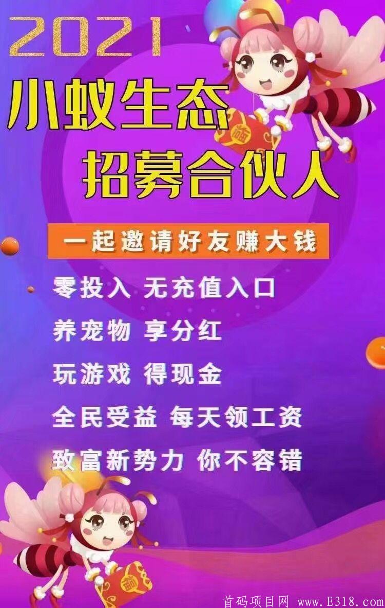小蚁生态首码对接