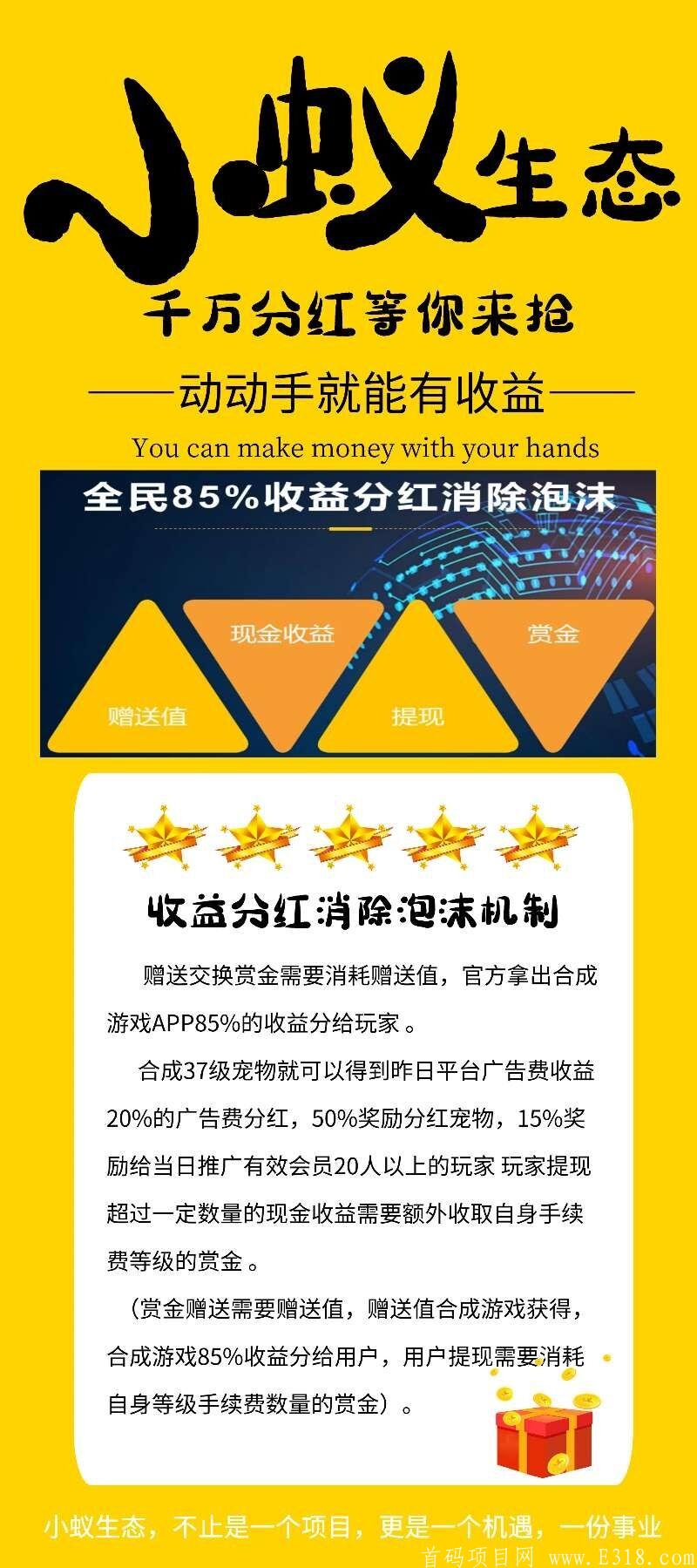 小蚁生态双APP运行赏金商业系统