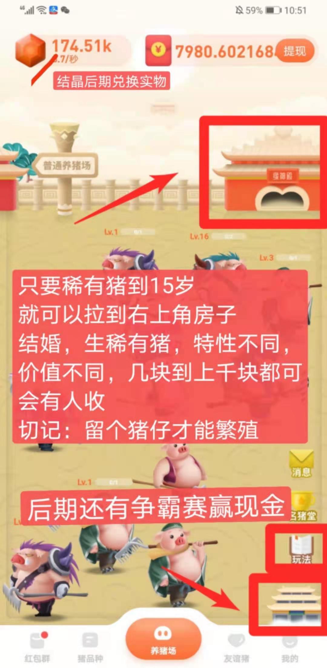 一起来养猪新版本新玩法，重金招募团队。