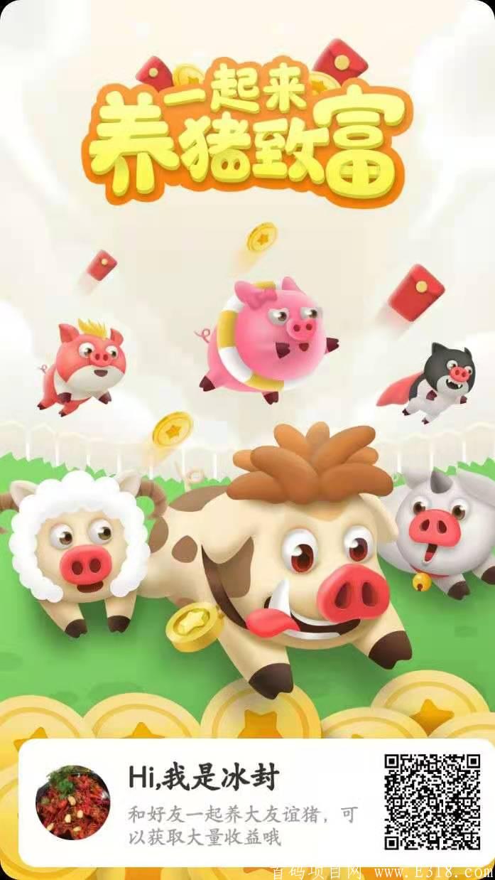 一起来养猪新版本新玩法，重金招募团队。