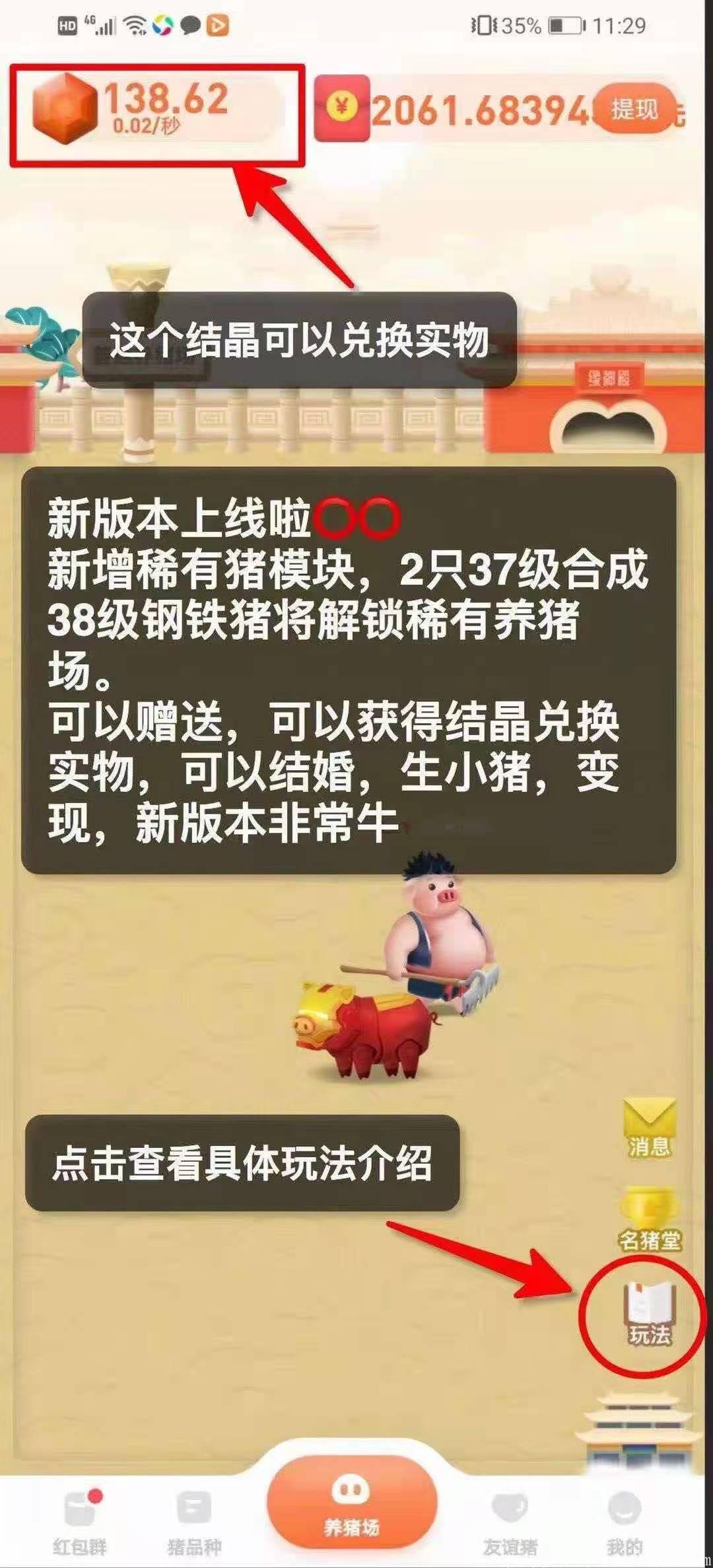 一起来养猪新版本新玩法，重金招募团队。