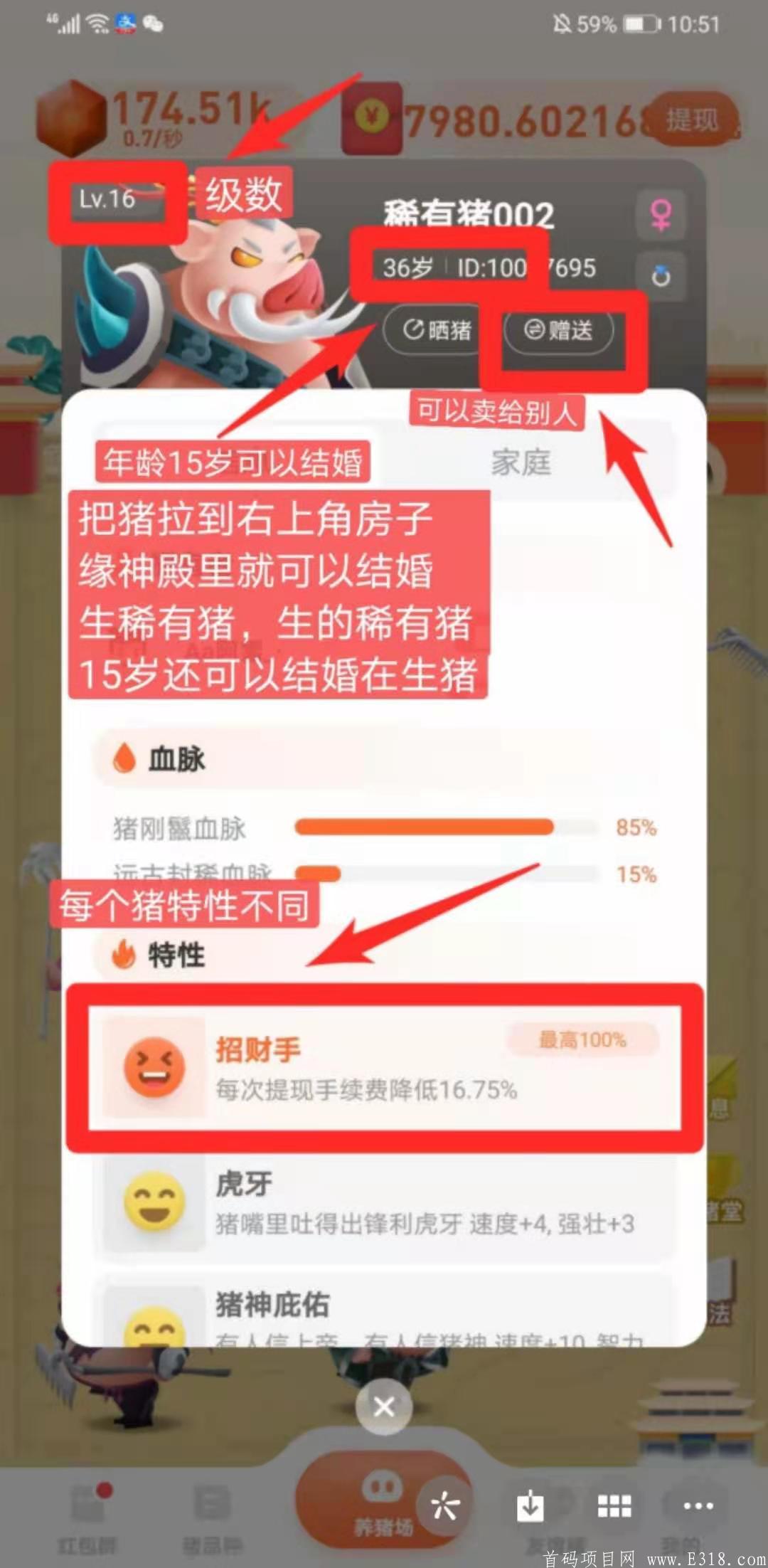 一起来养猪新版本新玩法，重金招募团队。