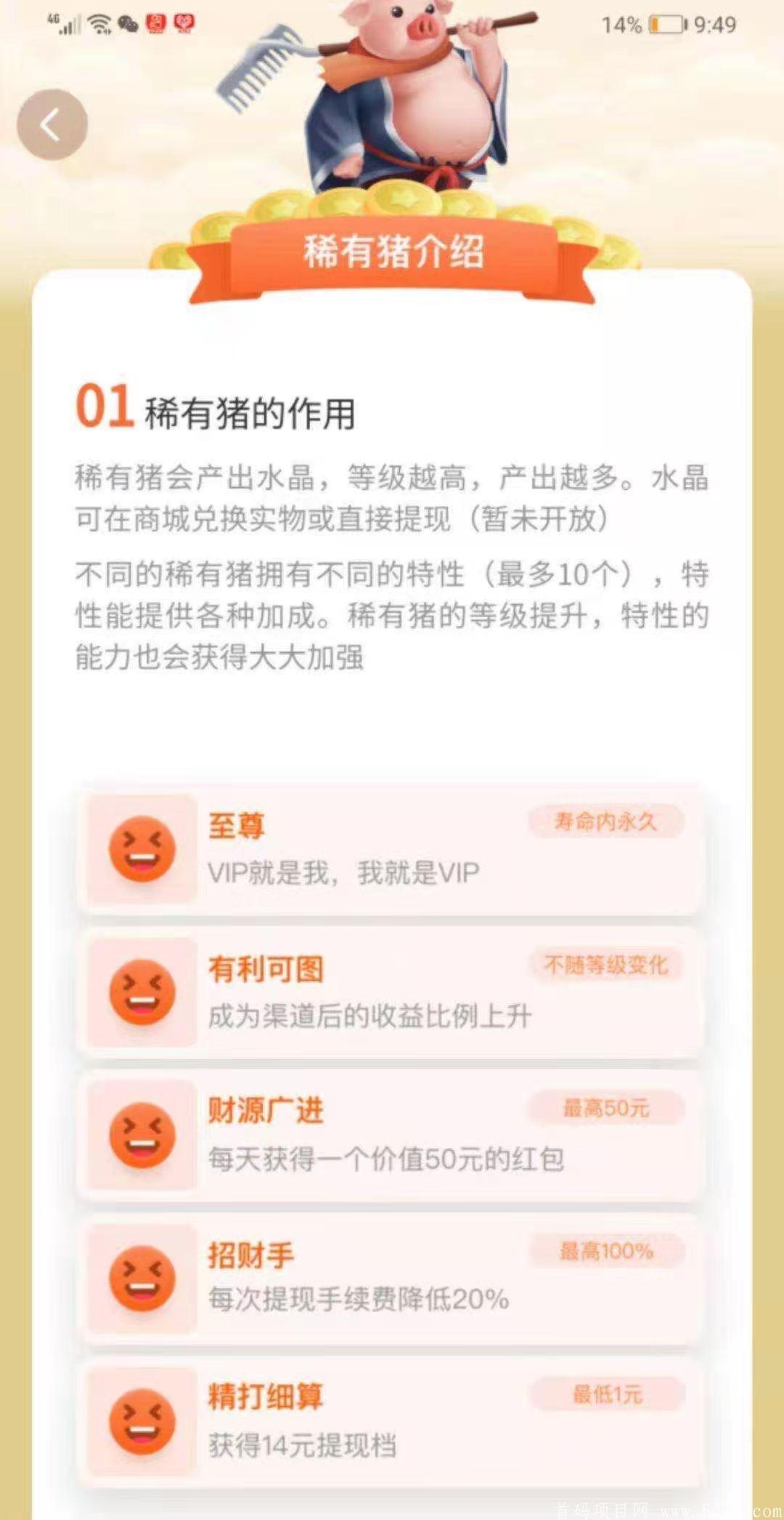 一起来养猪新版本新玩法，重金招募团队。