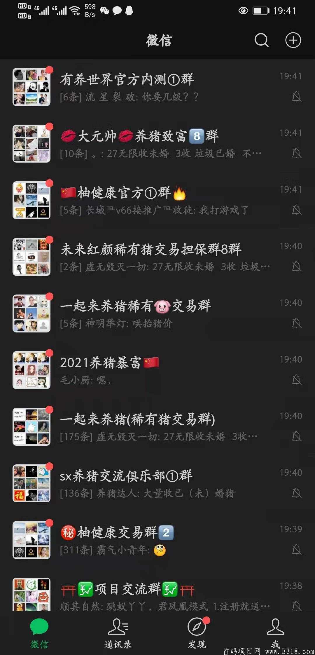 一起来养猪新版本新玩法，重金招募团队。