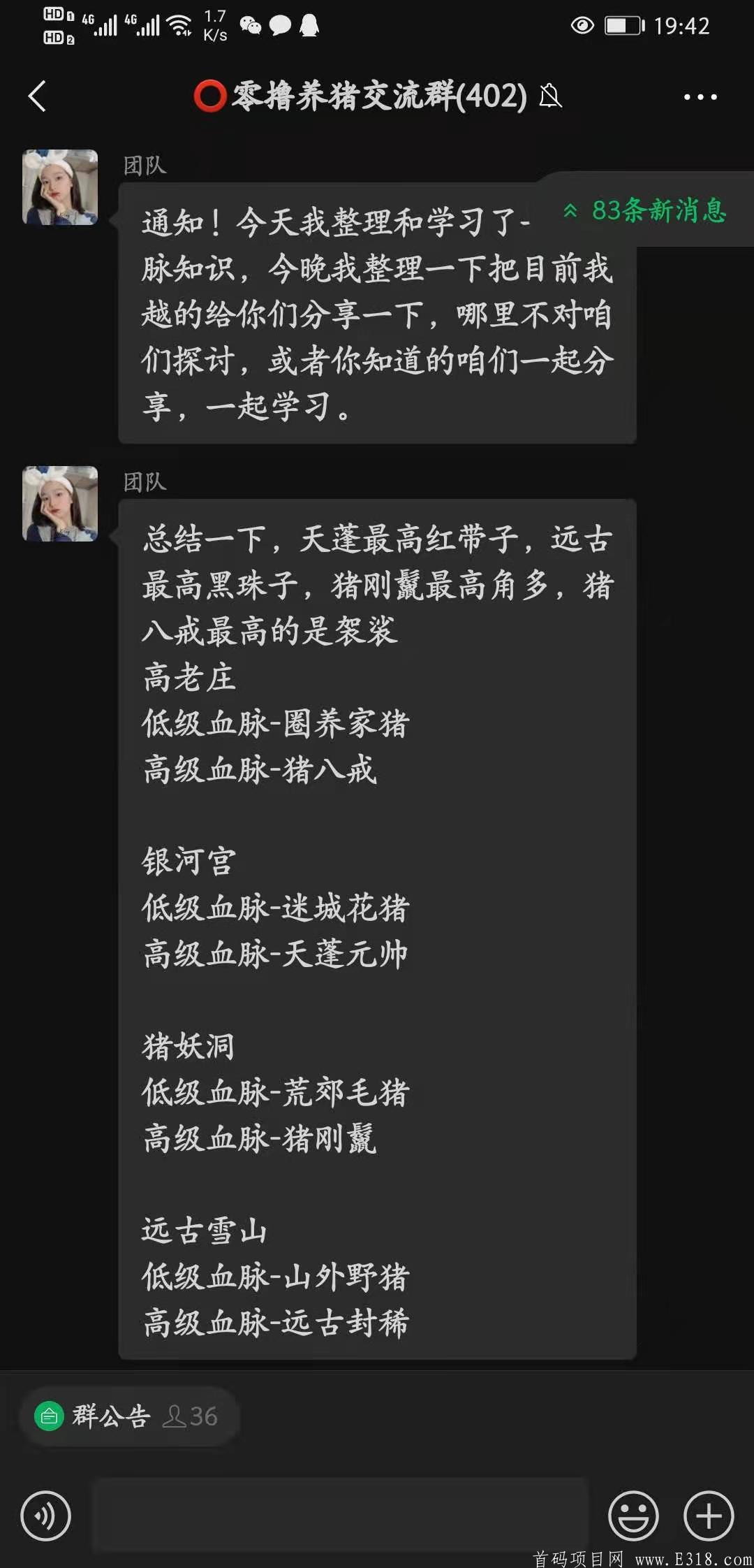 一起来养猪新版本新玩法，重金招募团队。