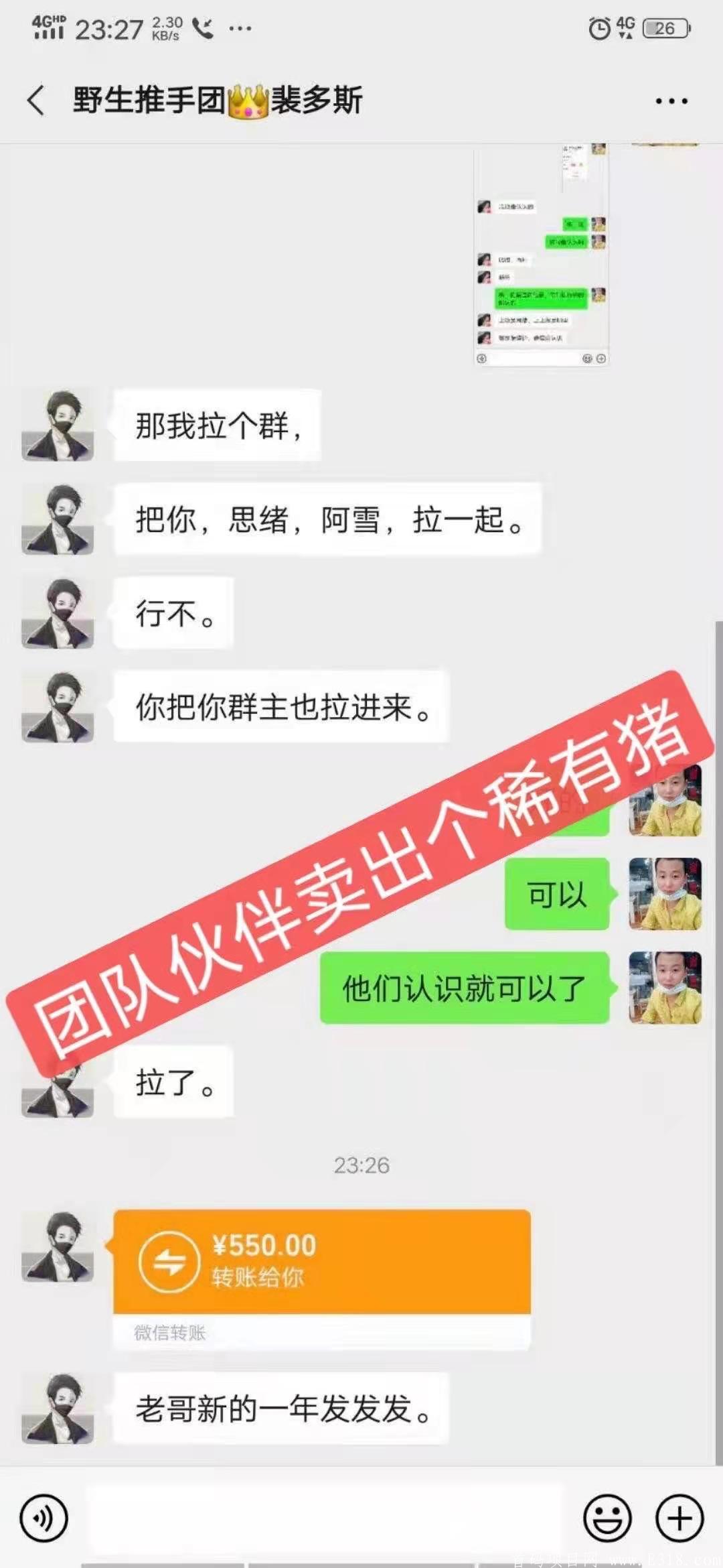 一起来养猪新版本新玩法，重金招募团队。