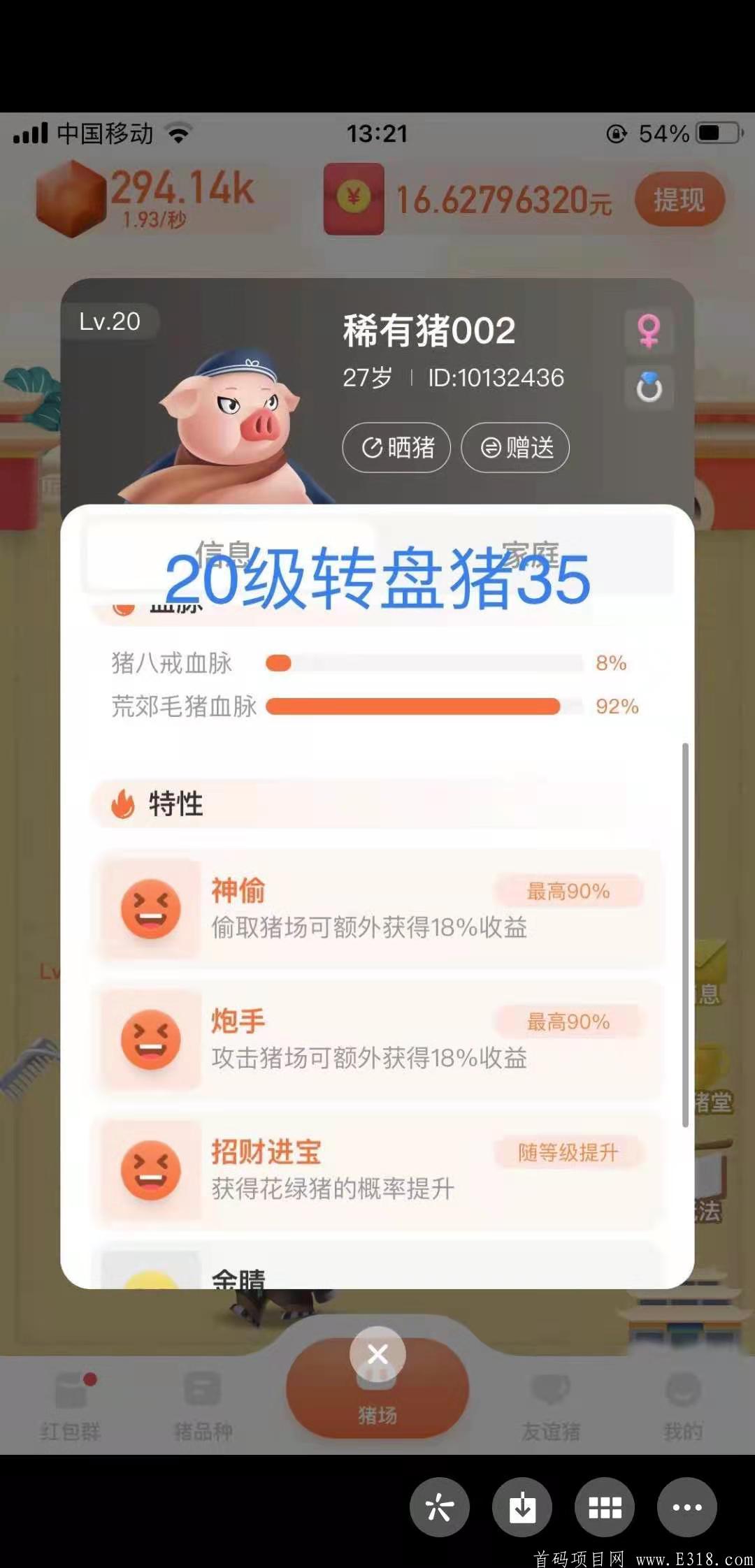 一起来养猪新版本新玩法，重金招募团队。