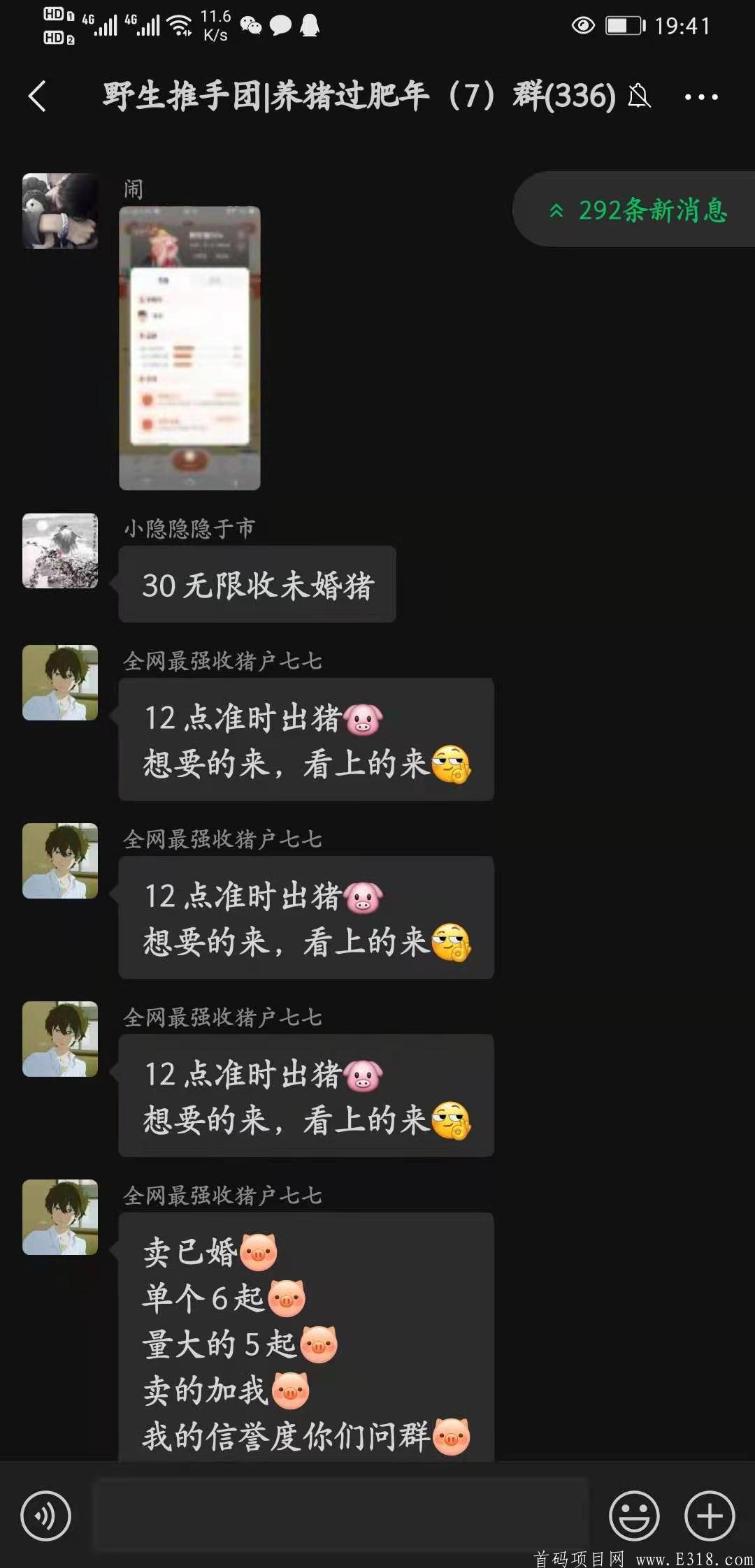 一起来养猪新版本新玩法，重金招募团队。