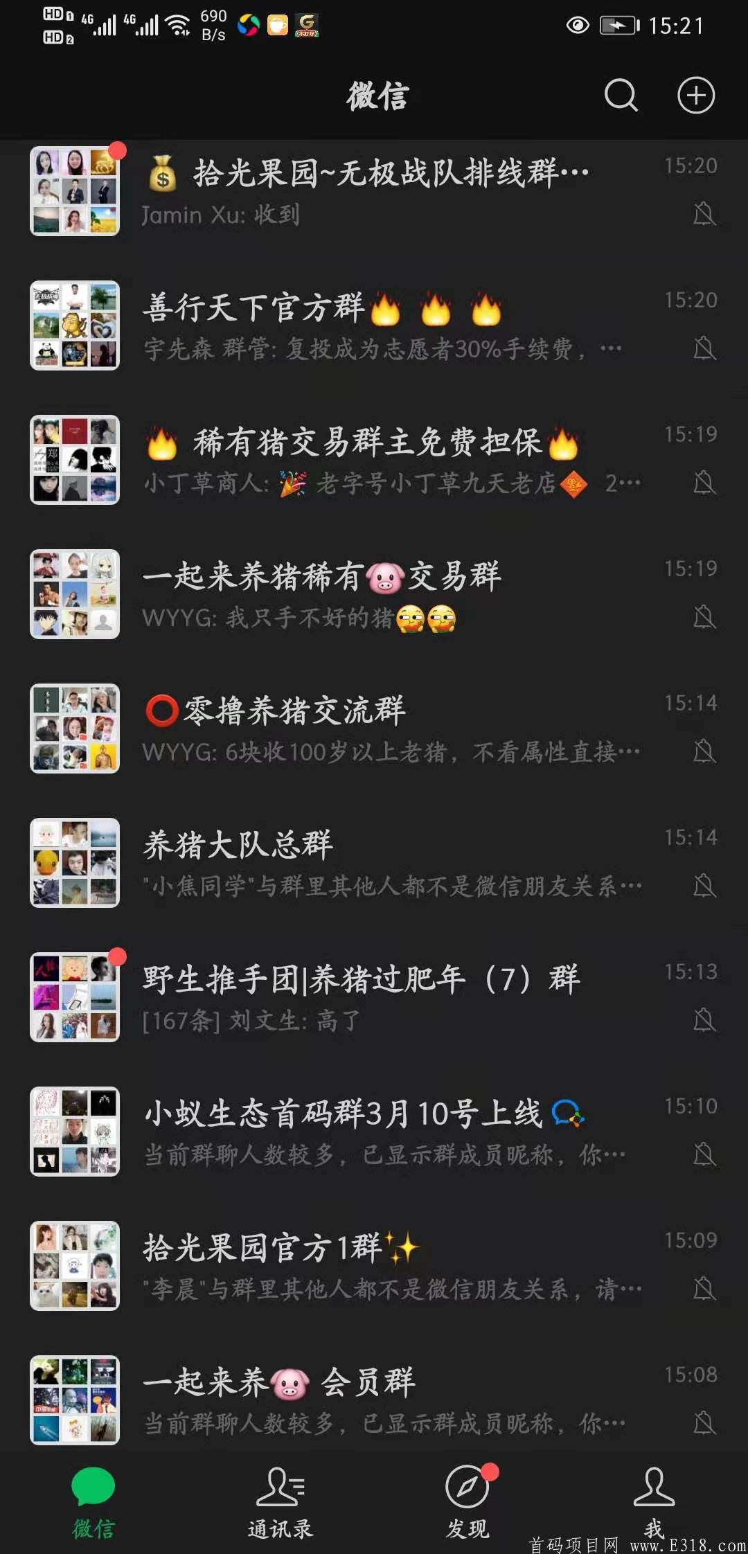 一起来养猪新版本新玩法，重金招募团队。