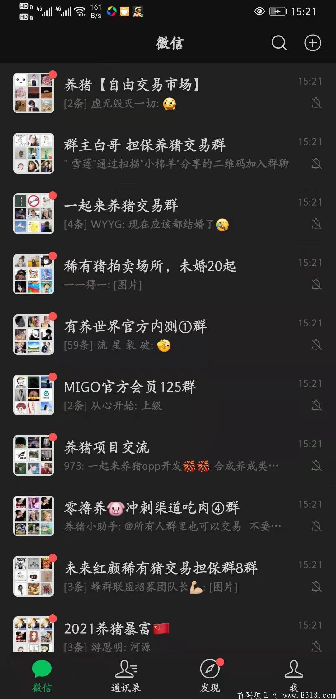 一起来养猪新版本新玩法，重金招募团队。