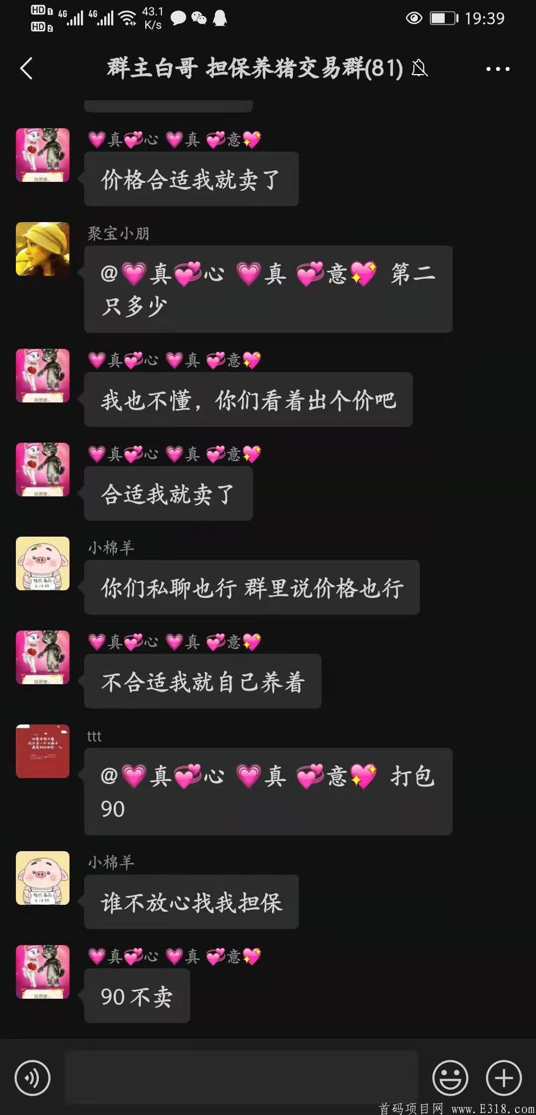 一起来养猪新版本新玩法，重金招募团队。