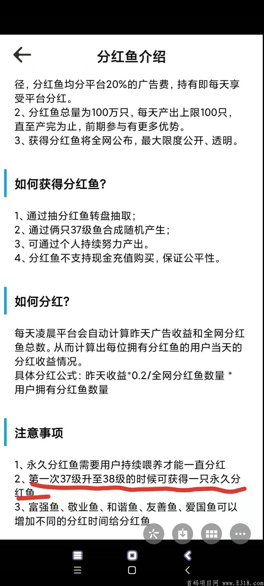 天天养鱼，合成38级必得分红鱼