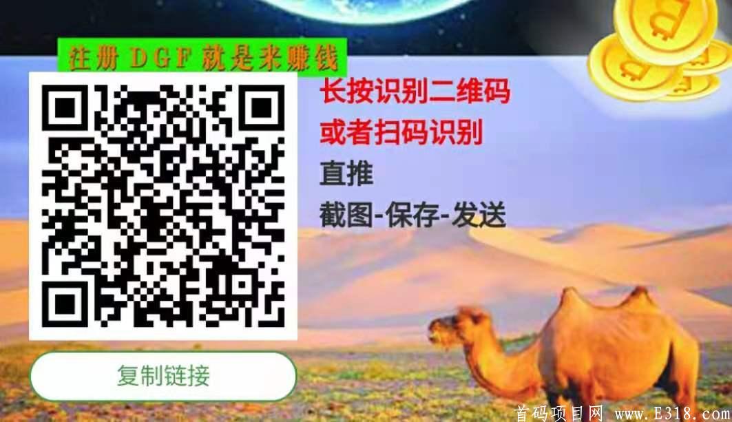 【优质项目】沙漠基金DGF发行4800万，现价19元，已对接公安和银行系统，第二个GEC，快零撸，有扶持。_首码项目网