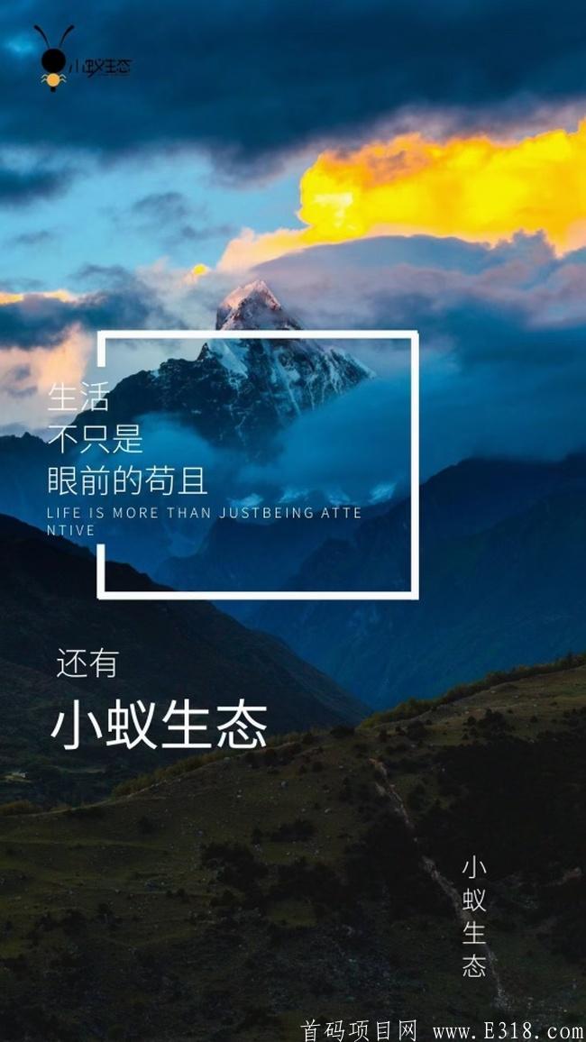 小蚁生态首码预热上线