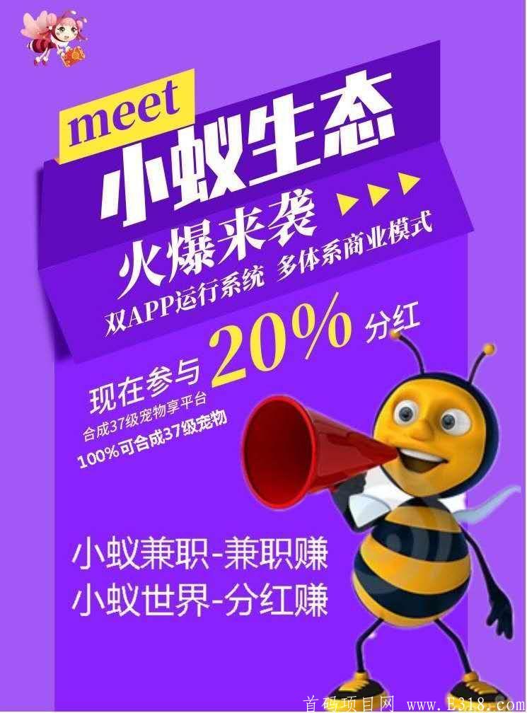 小蚁生态首码